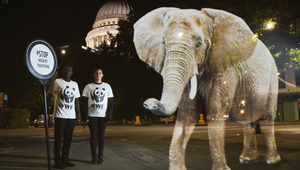 Tackling Animal Trafficking With WWF